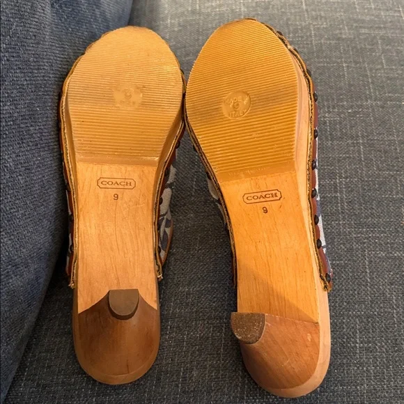 Coach Felicity slides - Picture 5 of 8